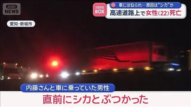 車にはねられ…原因は“シカ”か　高速道路上で女性（22）死亡【スーパーJチャンネル】(2026年10月19日)