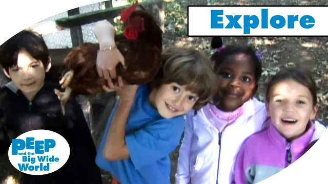 Discovering Chickens, Finding Your Way Home & MORE! | Explore the Big Wide World