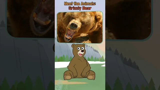 Why Do Grizzly Bears Eat So Much Before Winter? 🐻 | Grizzly Bear Facts for Kids | #shorts