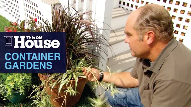 Container Gardens | This Old House