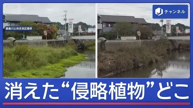 豪雨で“消えた最悪侵略生物”どこに？【スーパーJチャンネル】(2026年10月7日)