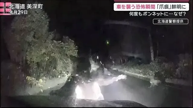 車を襲う恐怖瞬間…映像から分析　雨上がり注意　クマ行動に変化は？【サタデーステーション】(2026年10月3日)
