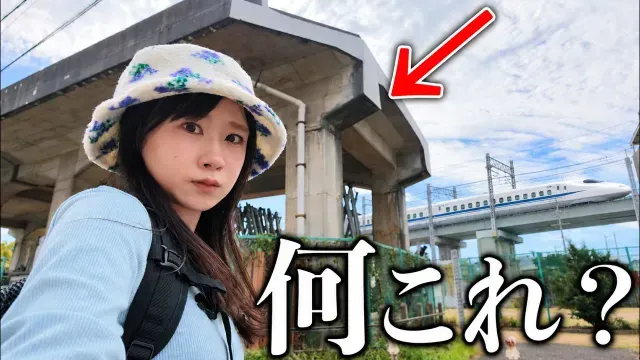 【住宅街に謎の高架橋】新幹線脇に残る「幻の鉄路」15km歩いて辿ってみた！