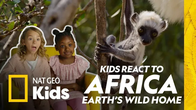 Kids React to More Animals from Africa! | Nat Geo Kids