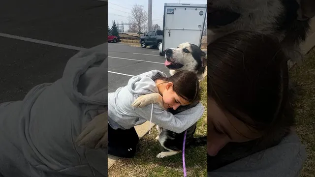 Family Goes Out For Errands And Comes Home With A Dog | The Dodo