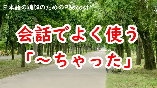 日本語の会話でよく使う～ちゃった #265