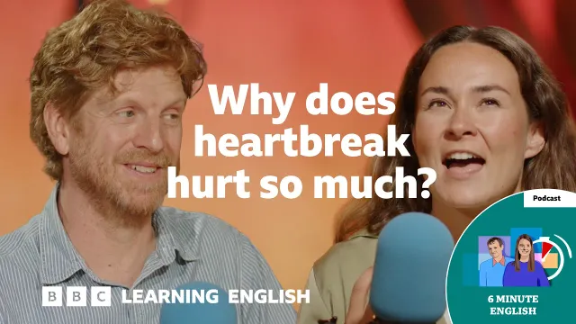 What can science tell us about the pain of a broken heart? ⏲️ 6 Minute English