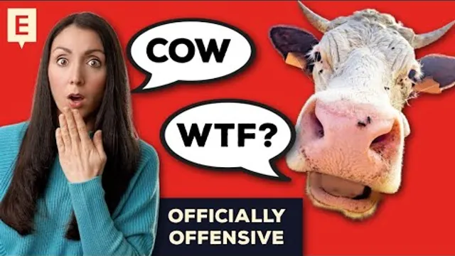 The UK's Bizarre Swear Words Officially Ranked!