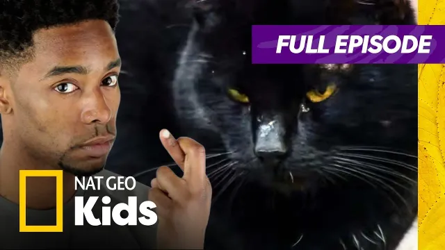 Spooky Brain Tricks That Make You Superstitious 🐈‍⬛ | Brain Games Full Episode | Nat Geo Kids