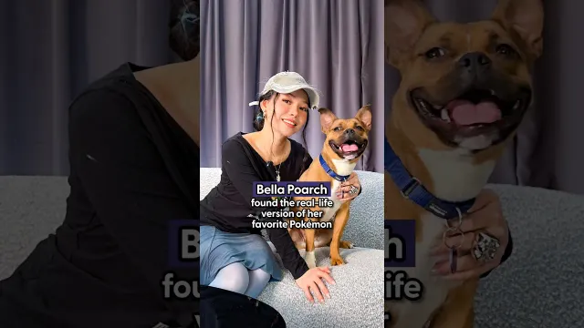 Bella Poarch Reveals The Side Only Her Pets See On Her Dodo Dream Date | The Dodo