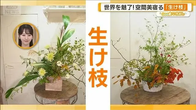 世界を魅了「生け枝」とは プロ直伝の術 サブスクは会員1万人超【グッド！いちおし】【グッド！モーニング】(2026年10月14日)