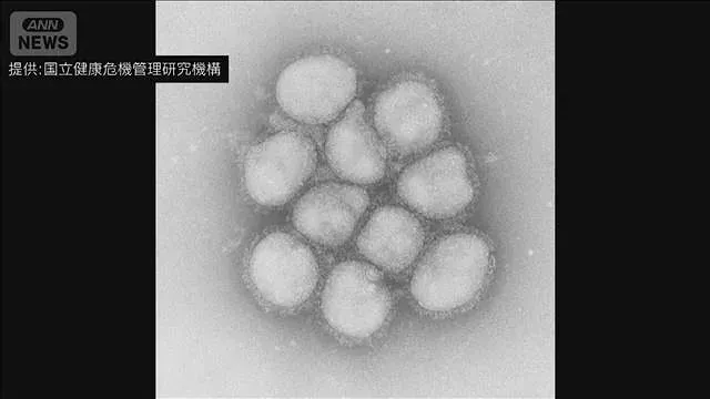 インフルエンザ早期の流行　専門家「コロナでの免疫状態の変化が影響」(2026年10月10日)