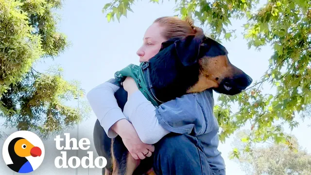 Family Makes Hard Decision To Rehome Their Dog, Then He Finds His Person | The Dodo