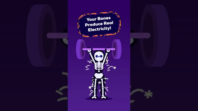 Your Skeleton Is Electric