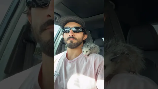 MMA Fighter Stops His Bike For Tiny Opossum In The Road | The Dodo