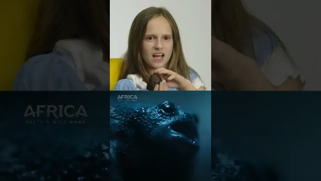 Does anybody else wish they had a pet avocado right now? 🙋| Kids React! | Nat Geo Kids