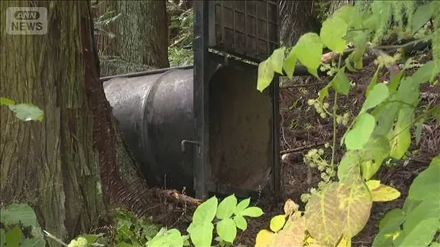 飼い犬がクマ被害　金属バットで追い払う　人への被害はなし　長野・塩尻市【知っておきたい！】【グッド！モーニング】(2026年9月13日)