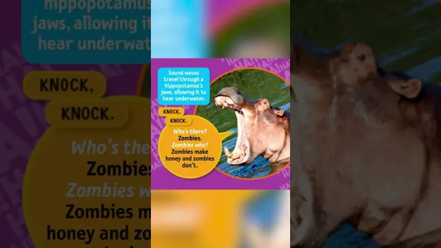 Ghost jokes to make you LOL this Halloween 👻 | Just Joking 🤣 | Nat Geo Kids