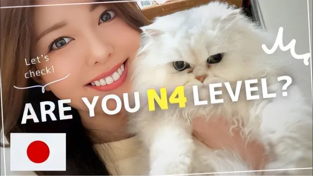 10. If you understand this, you are JLPT N4 level!