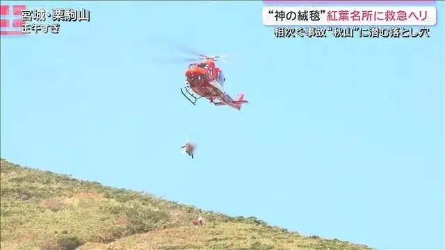 秋の行楽地に“3つの難題”　紅葉名所「神の絨毯」に救急ヘリ　緊迫の一部始終【サタデーステーション】(2026年10月10日)