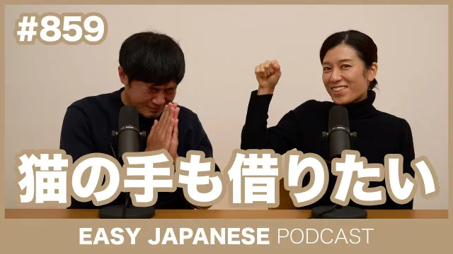 #859 猫の手も借りたい / EASY JAPANESE PODCAST Learn Japanese with MASA and ASAMI