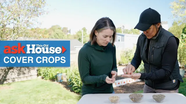 How to Plant Cover Crops | Ask This Old House