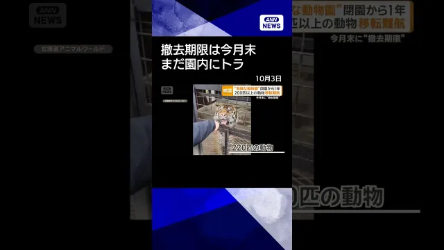 【ニュース】建物撤去期限は今月末　園内にまだ動物220匹　「ノースサファリサッポロ」#shorts