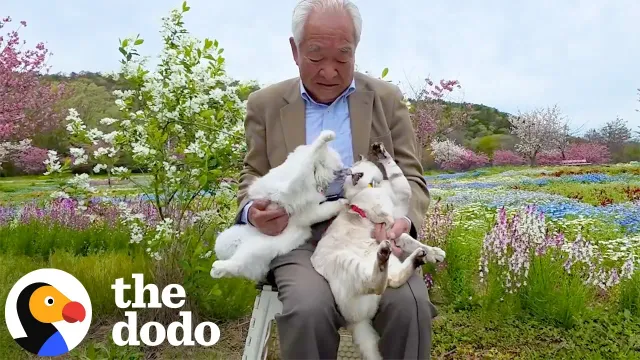 Grandpa Keeps Sweet Tradition Going With Two Very Unimpressed Cats | The Dodo