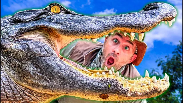Jaws of Death! Alligator & Crocodile Bite Test