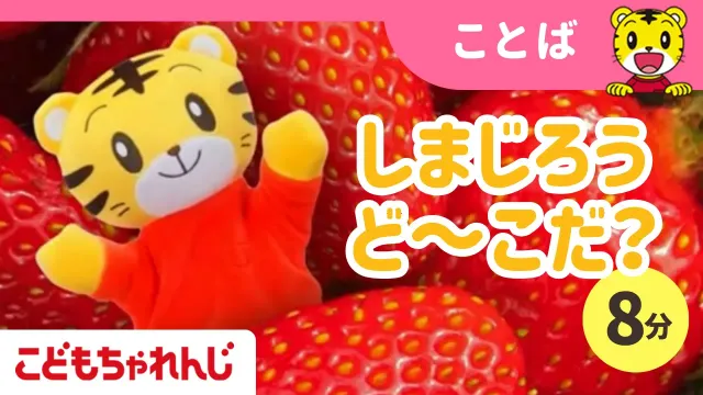 【8分】しまじろうとかくれんぼう！｜豊かな言葉・感性が育つ｜1・2歳向け〈こどもちゃれんじぷち〉【しまじろうチャンネル公式】