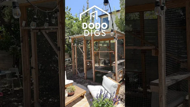 Woman Builds Her Cats The Backyard Catio Of Their Dreams | The Dodo