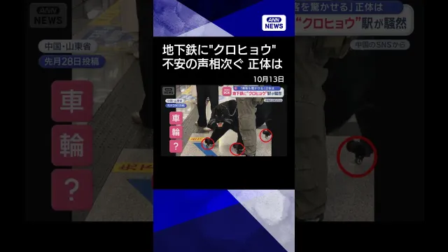 【ニュース】地下鉄に“クロヒョウ”駅が騒然　「乗客を驚かせる」正体は#shorts