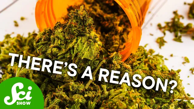 Why Weed Doesn't Work on Everyone