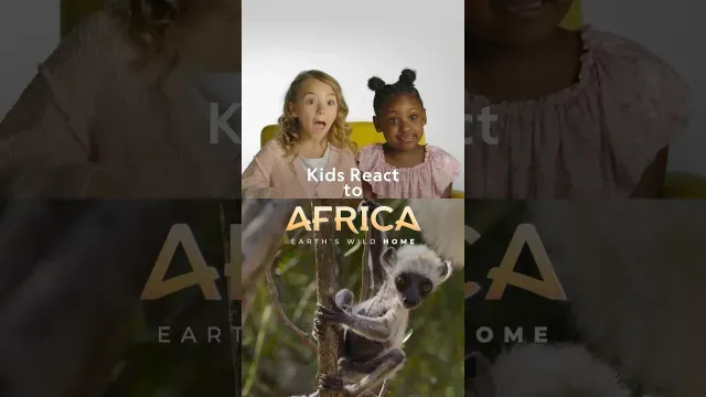 Kids React to More Animals from Africa! | Nat Geo Kids