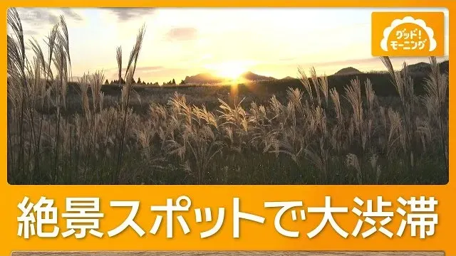 ススキ名所に38万人殺到 大渋滞で住民「家から出られない」 奈良・曽爾高原【もっと知りたい！】【グッド！モーニング】(2026年10月4日)