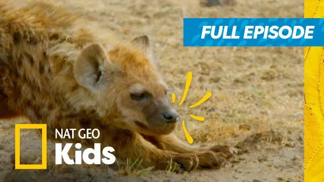 Jack Hanna's Passport Full Episode | Exploring Remote Worlds | Nat Geo Kids