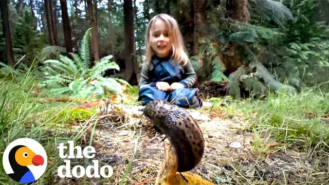 Parents Catch Their Little Girl Befriending A Giant Slug In The Forest | The Dodo