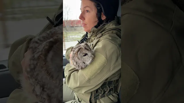 Owl Trapped In Anti-Drone Net Gets Found By The Right People | The Dodo